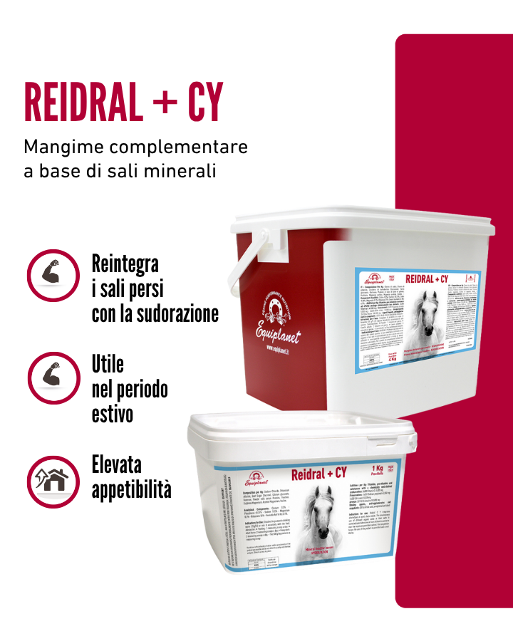 Reidral + CY